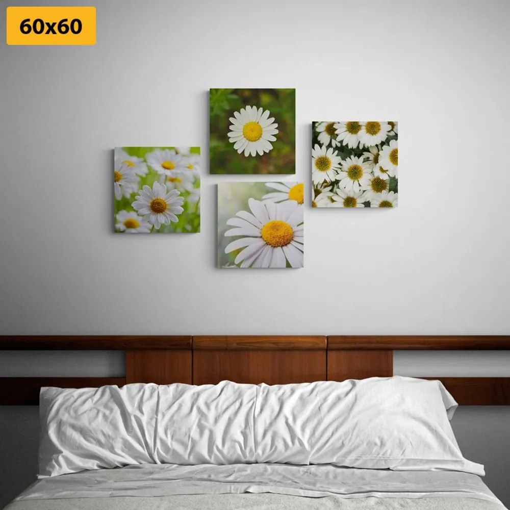 Set di quadri – Fiori incantevoli