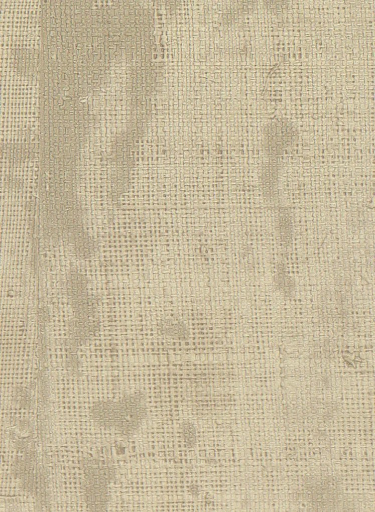 Élitis Carta da parati Atelier d'Artiste - VP 880 72