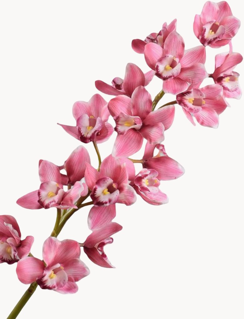 Set di 2 fiori artificiali Cymbidium