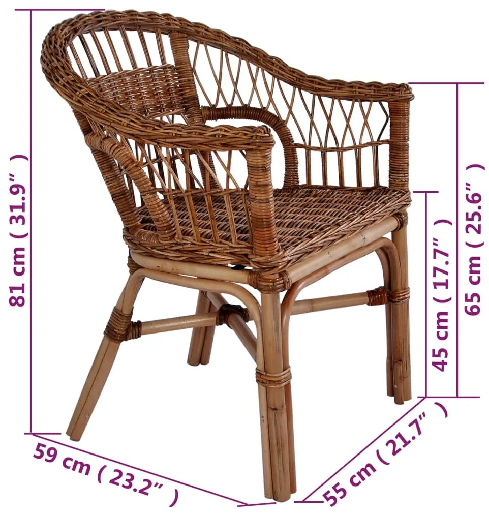 Sedie da Esterno 6 pz in Rattan Naturale Marrone