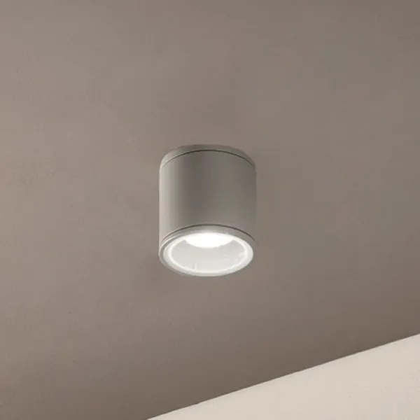 Plafoniera per esterni JUBO in alluminio Silver con diffusore in vetro D9 cm