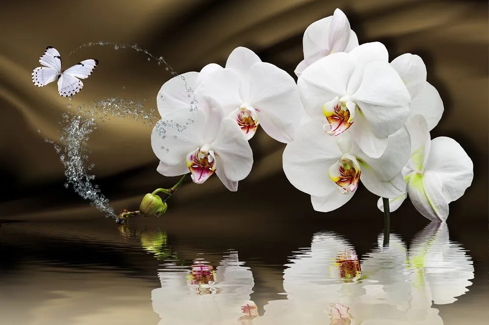 Carta da parati – Orchidea e farfalla