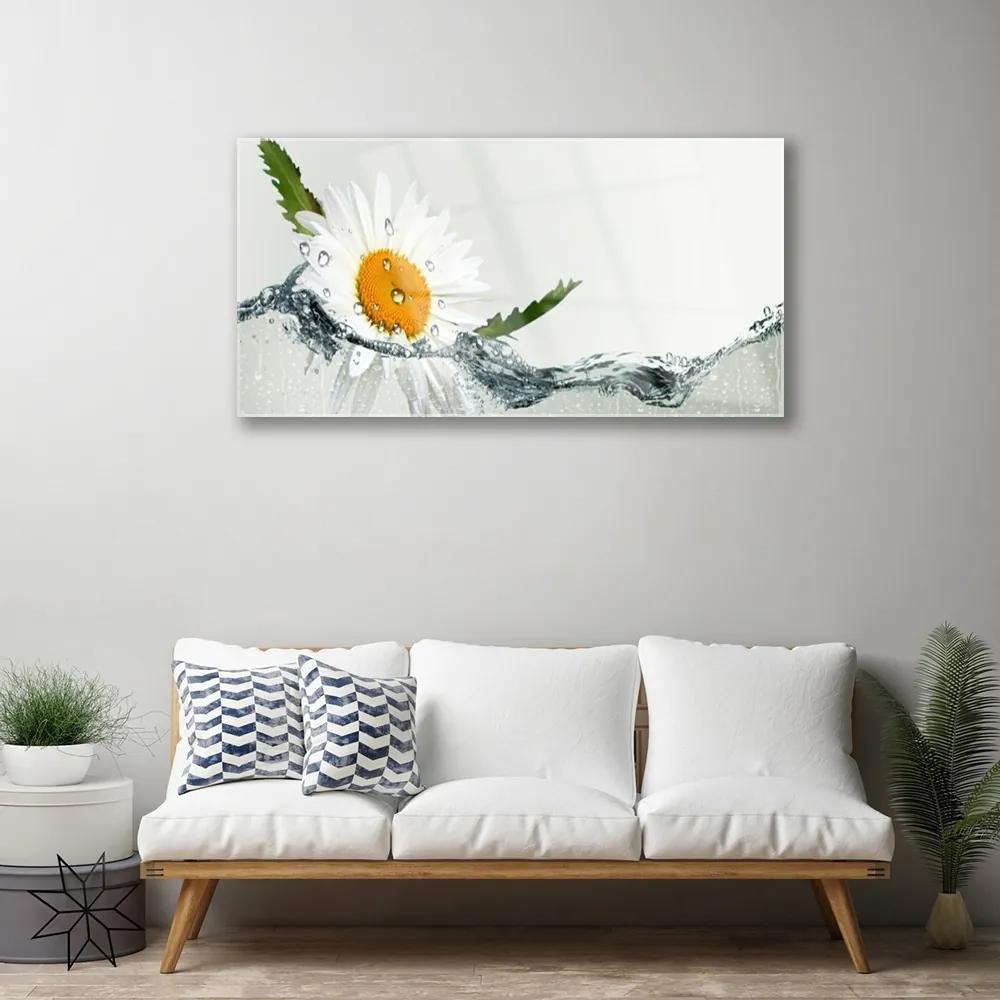 Quadro acrilico Margherita in acqua Pianta 100x50 cm