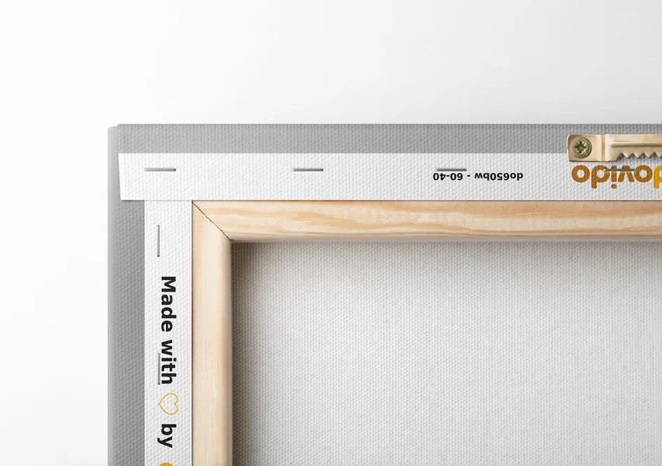 Quadro su tela – Piccolo angioletto in bianco e nero