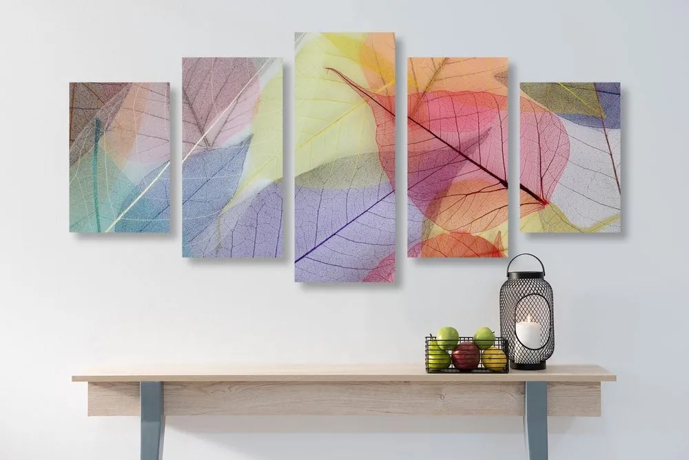 Quadri 5 pezzi – Venature su foglie colorate