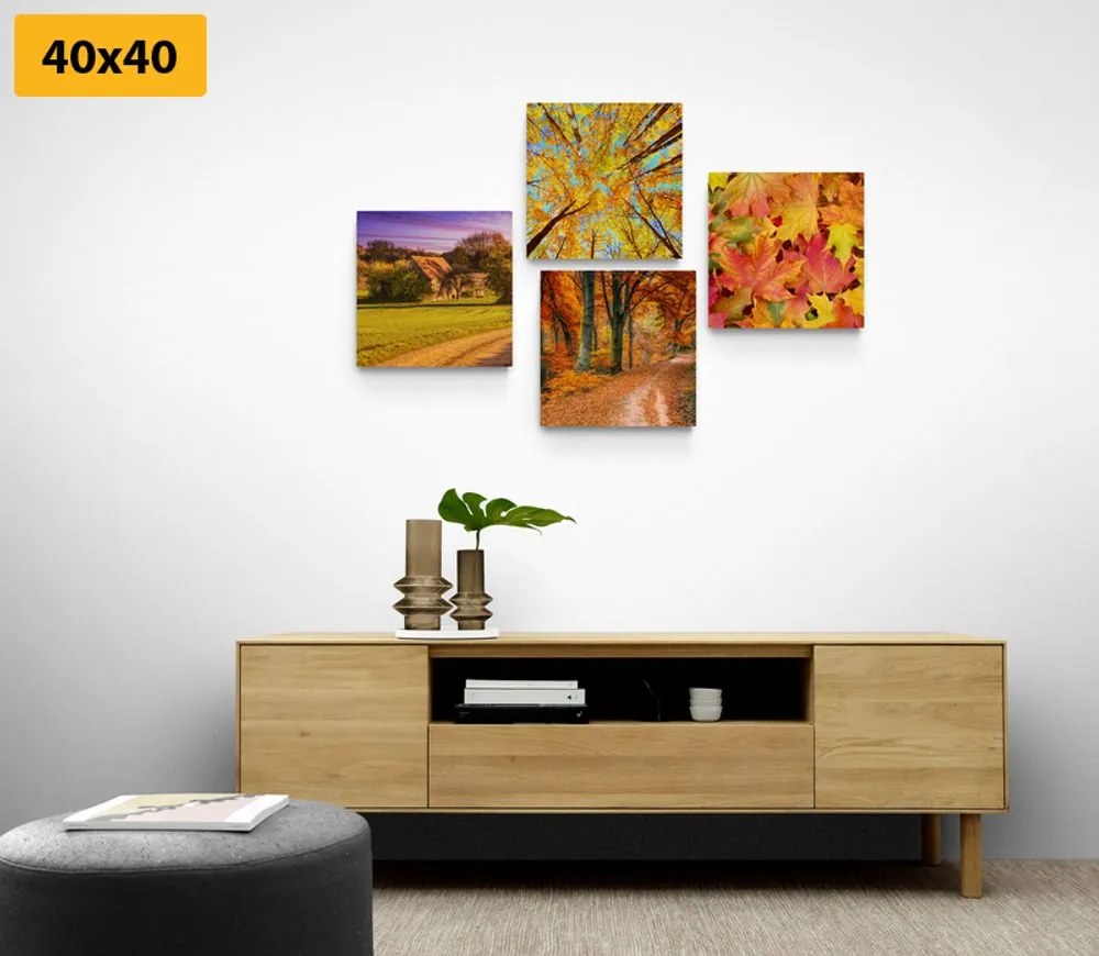 Set di quadri – Natura in colori autunnali