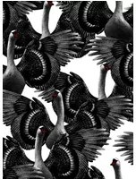 Studio Lisa Bengtsson Tapete Swan Lake - White