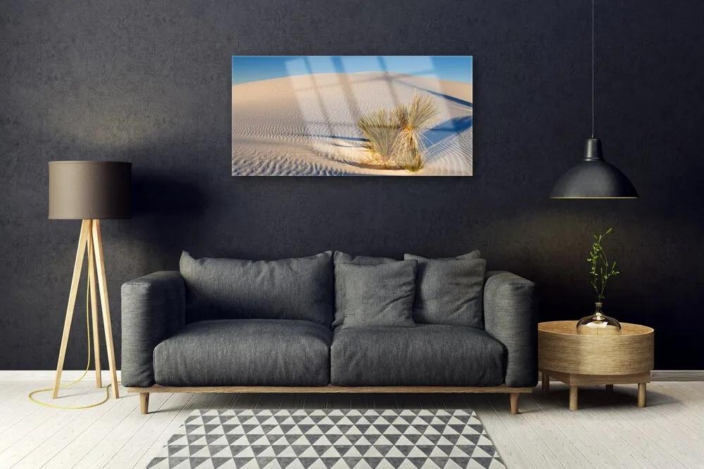 Quadro su vetro acrilico Paesaggio di sabbia del deserto 100x50 cm