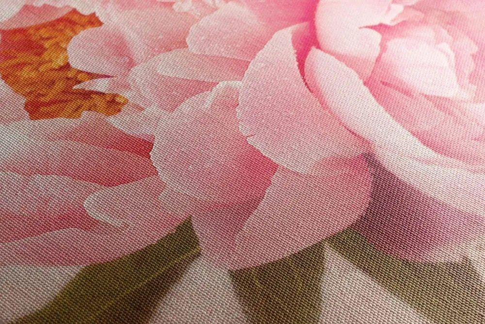 Stampa su tela – Peonia delicata