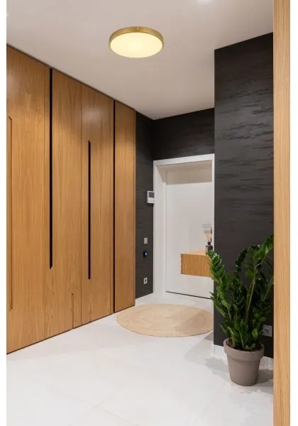 Globo 12381-22 - Plafoniera LED TIBEY LED/22W/230V diametro 35 cm