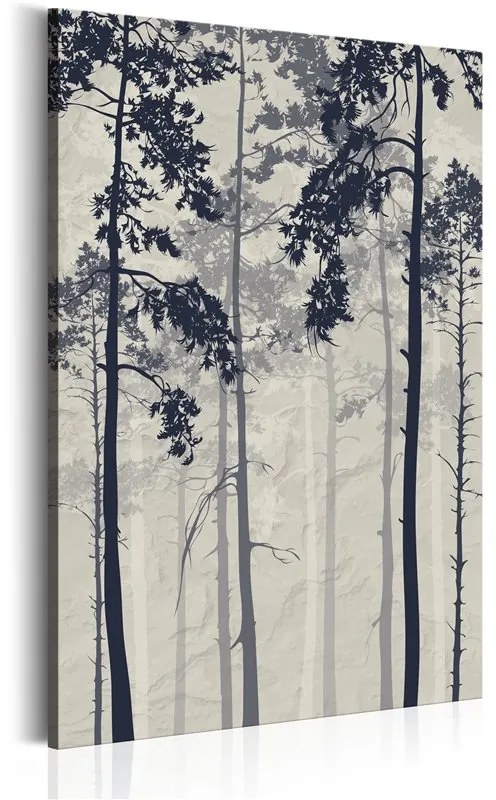 Quadro Forest In Fog  Colore Nero, Dimensioni e Misure 80x120