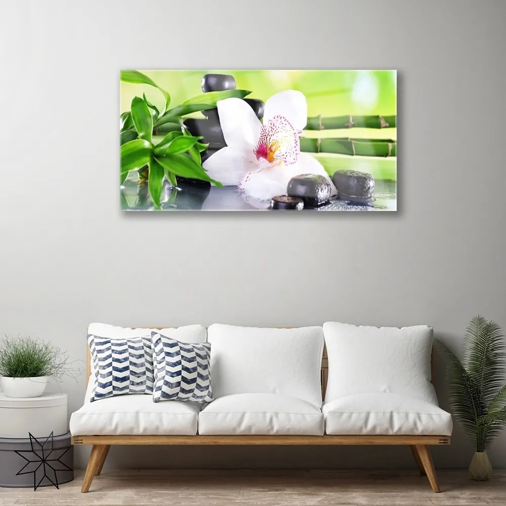 Quadro su vetro acrilico Foglie di bambù dell'orchidea 100x50 cm