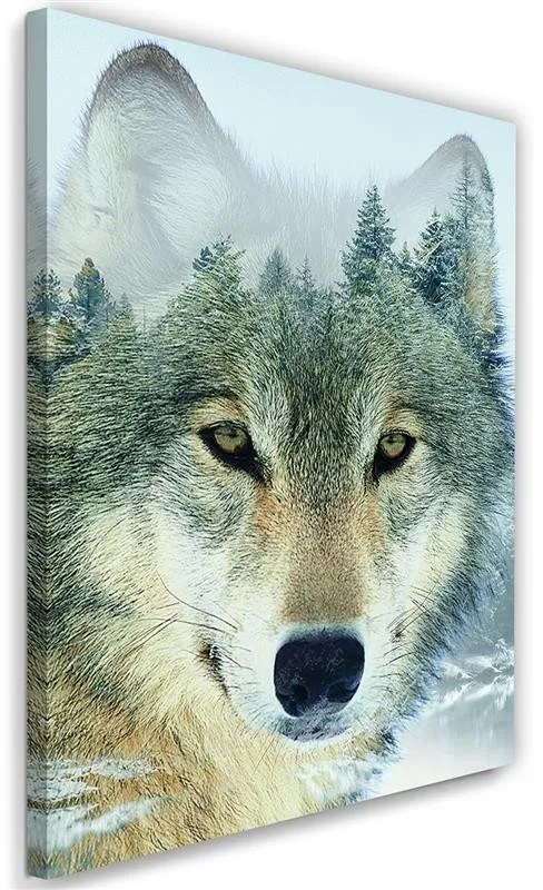 Quadro su tela, Lupo animale foresta natura  Dimensioni Tappeti 70x100