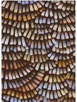 Moooi for Arte Tapete Dandelion Cranes - Prisma
