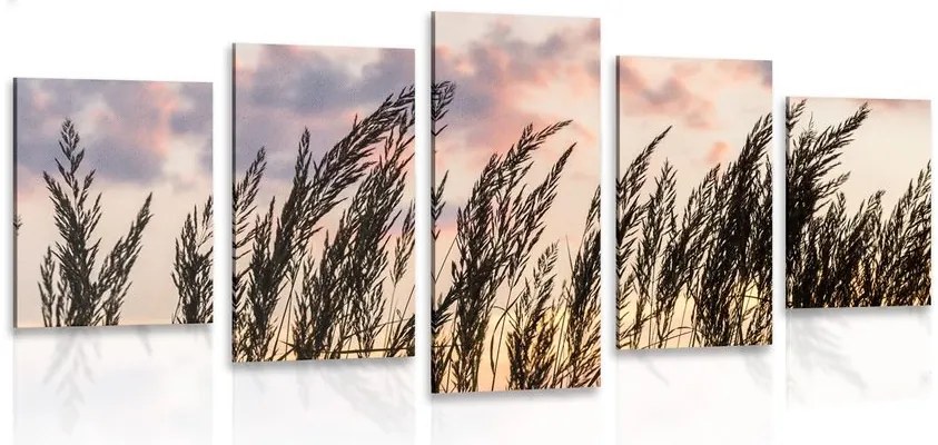 Quadri 5 pezzi – Erba al tramonto