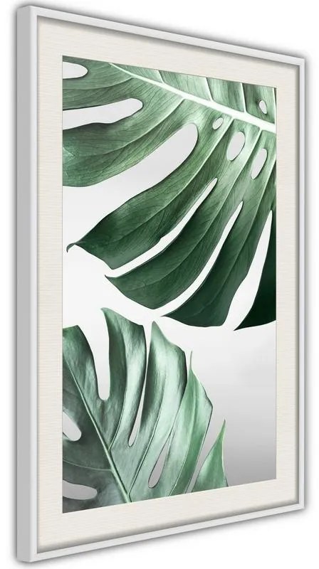 Poster  Leaves Like Swiss Cheese  Cornice Quadri Cornice nera con pass-partout, Larghezza x Altezza Home decor 20x30