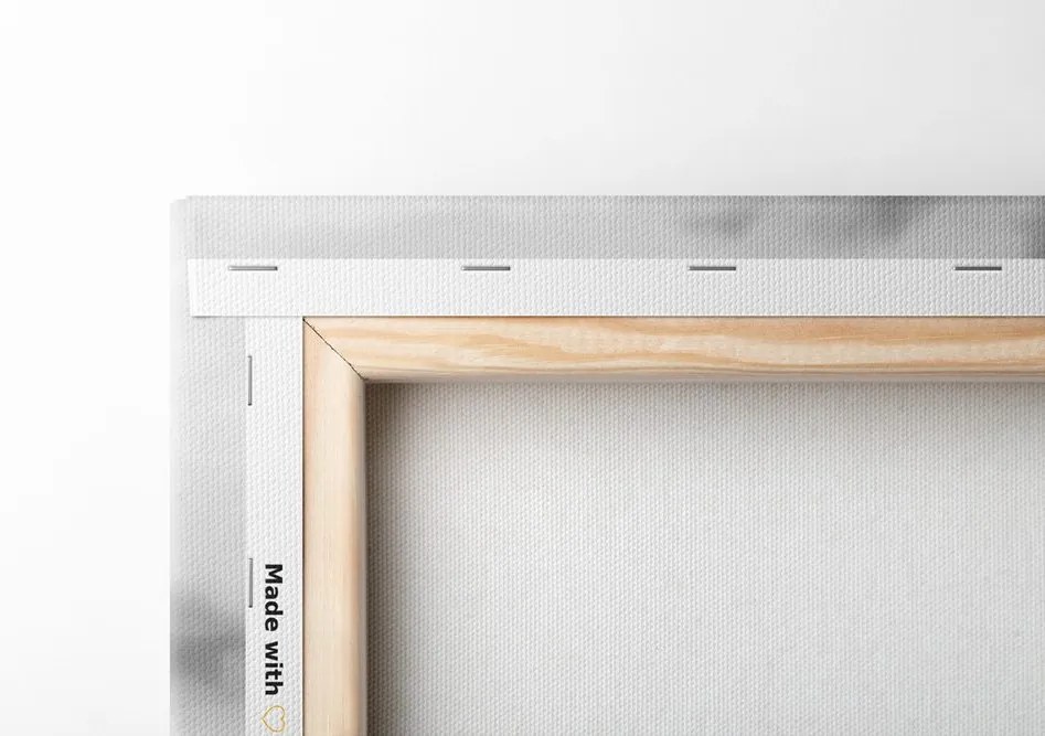 Quadro su tela – Erba in bianco e nero