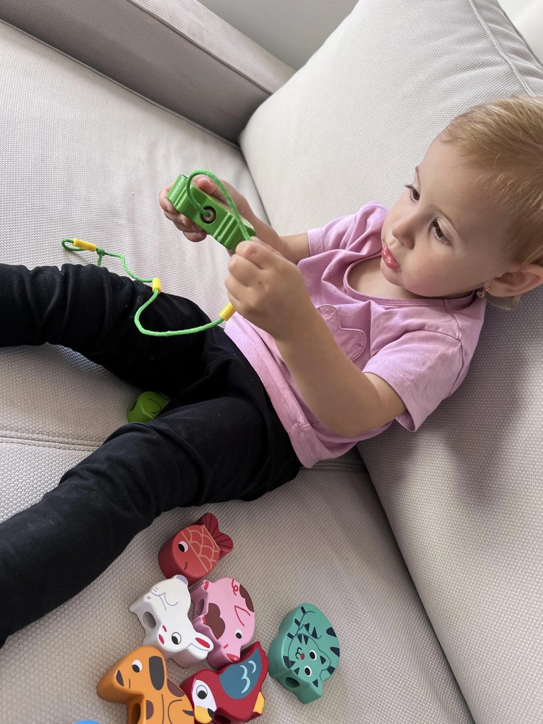 Vilac - Figure da infilare - animali domestici