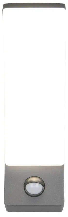 Illuminazione esterna LED con sensore di movimento da parete (altezza totale 22,5 cm) Beja – Trio