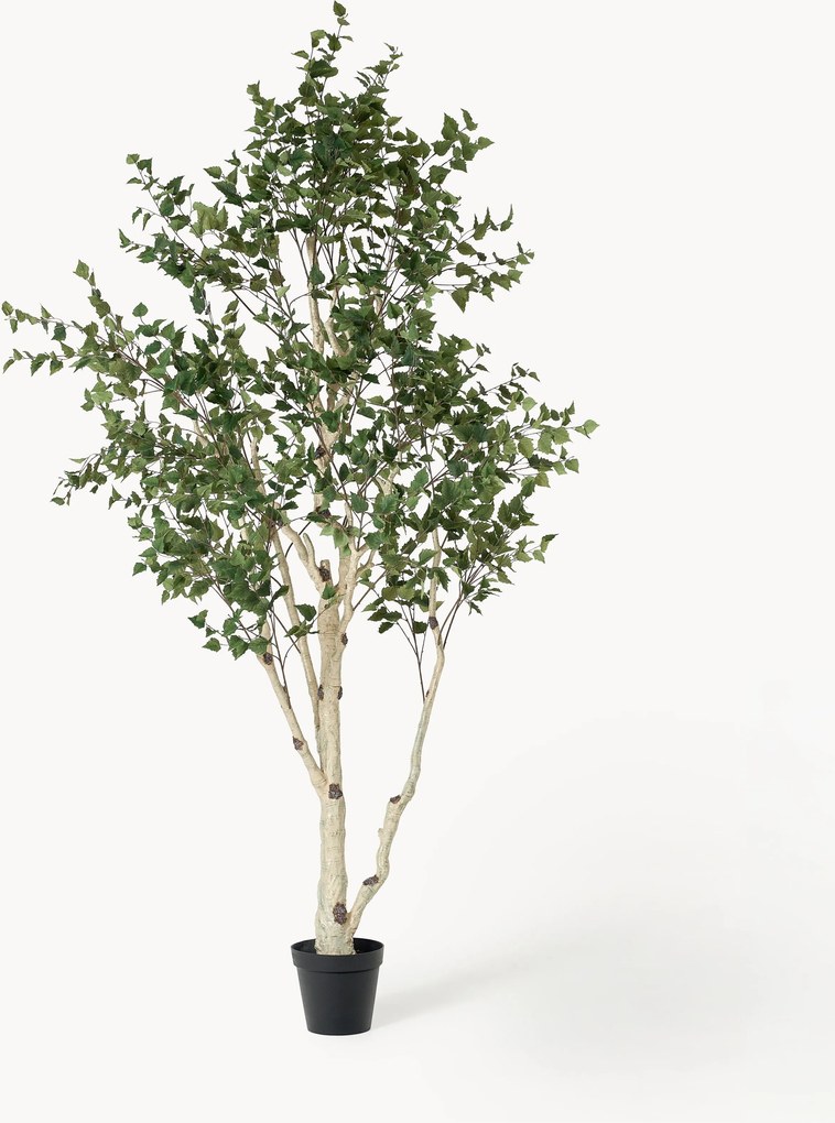 Pianta artificiale Birch Tree Green
