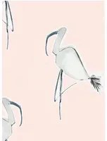 Flamingo Tapete Zanzibar von Scion - Blush