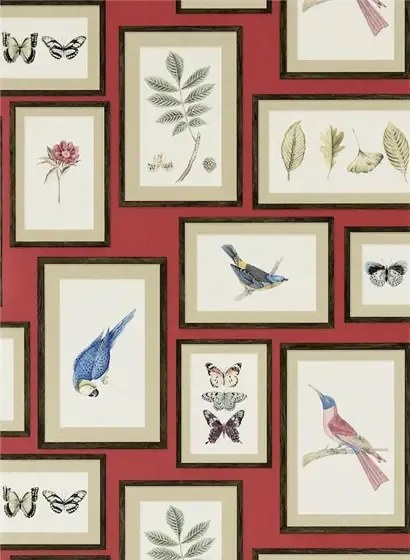 Sanderson Carta da parati Picture Gallery - Red/ Multi