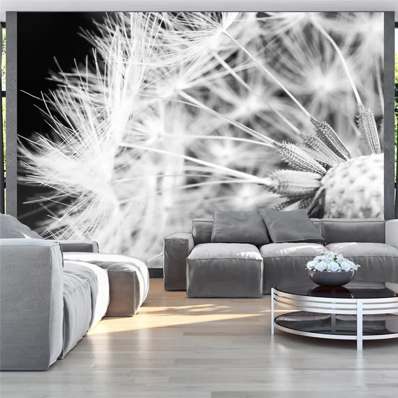 Fotomurale  Black and white dandelion  Colore bianco e nero, Dimensioni e Misure 150x105