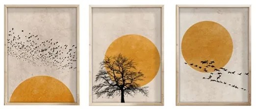 Set di 3 quadri incorniciati 50x70 cm beige/arancione