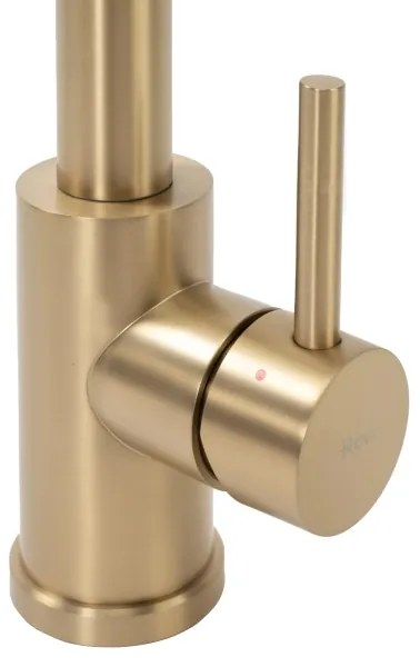 REA-B4821 - Miscelatore per lavello con doccetta estraibile COLIN 42,5 cm, finitura oro spazzolato