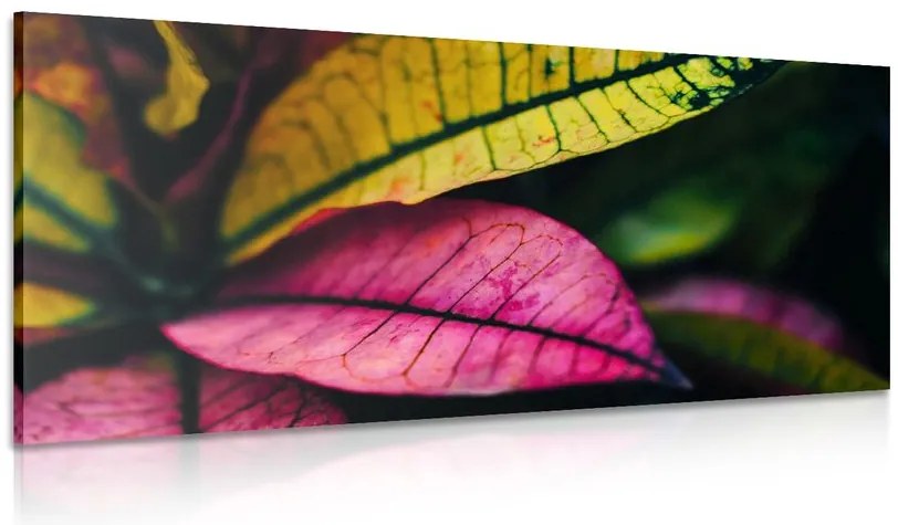 Quadro su tela – Foglie fresche