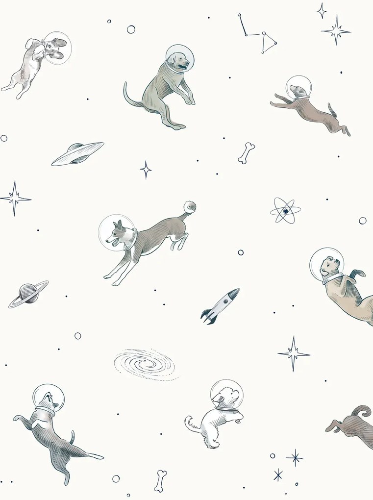 Coordonne Carta da parati panoramica Doggy Gravity - Light