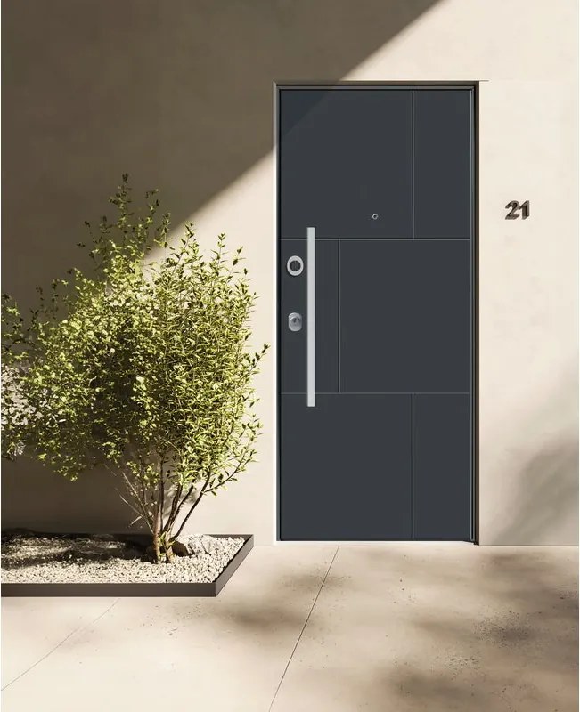 Porta blindata YALE NAOS L 80 x H 210 cm in alluminio grigio 7016 opaco/grigio chiaro, apertura spingere a destra, falso telaio incluso