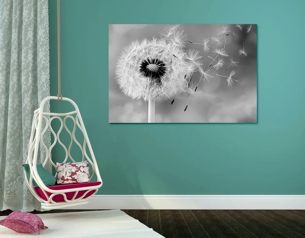 Quadro su tela – Soffione magico in bianco e nero