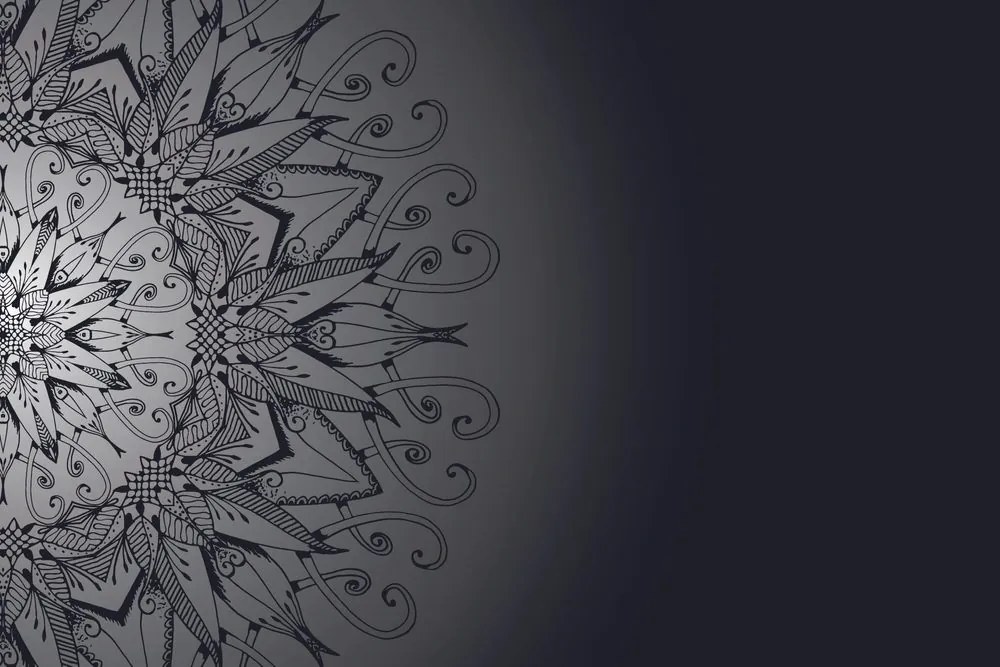 Carta da parati – Mandala in tonalità scura