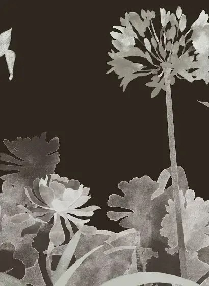 Paint & Paper Library Carta da parati panoramica Aloe Walk - Perse Grey