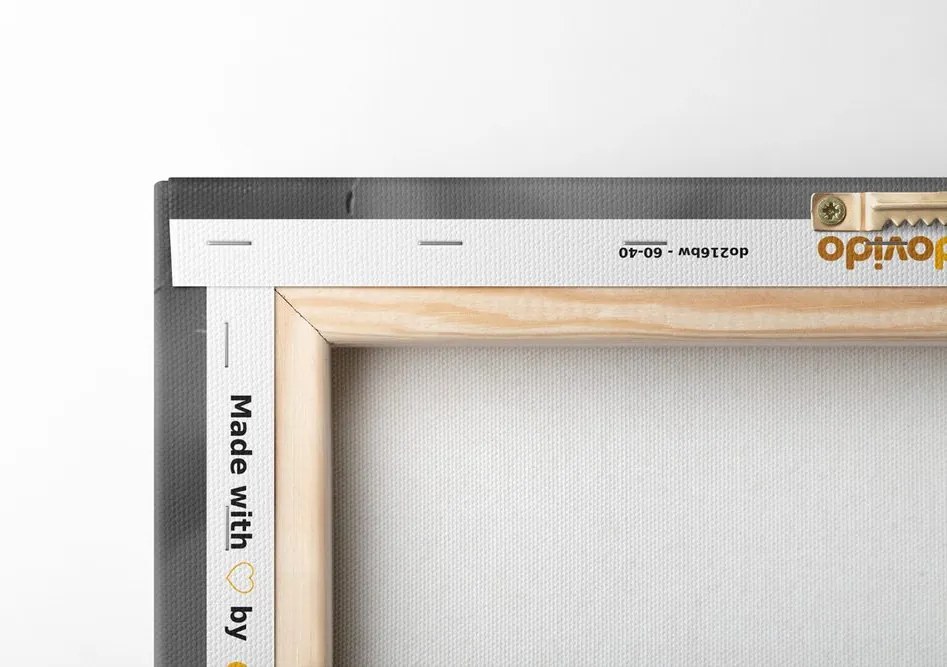 Quadro su tela – Soffione magico in bianco e nero