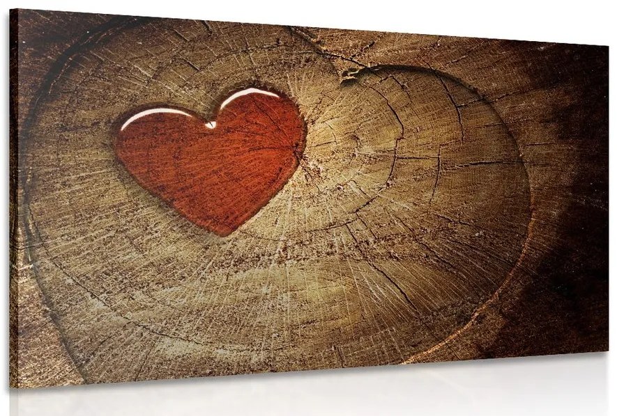 Quadro su tela – Cuore su tronco