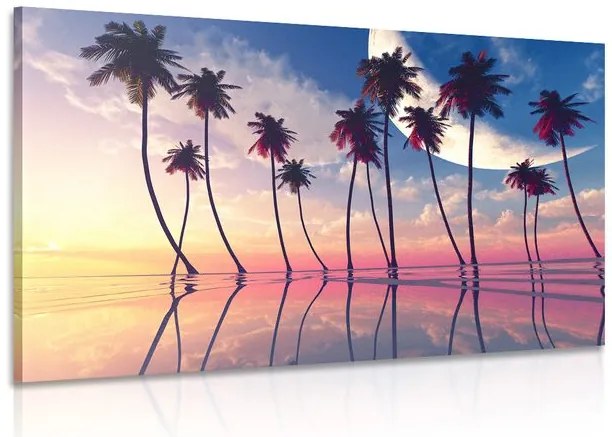 Stampa su tela – Tramonto sopra palme tropicali