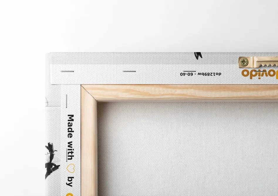 Quadro su tela – Natura morta rustica in bianco e nero