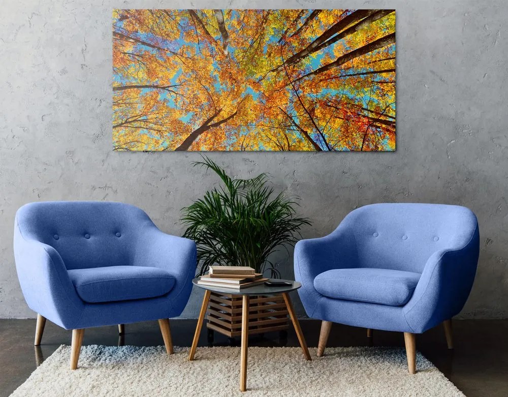 Quadro su tela – Corone autunnali degli alberi