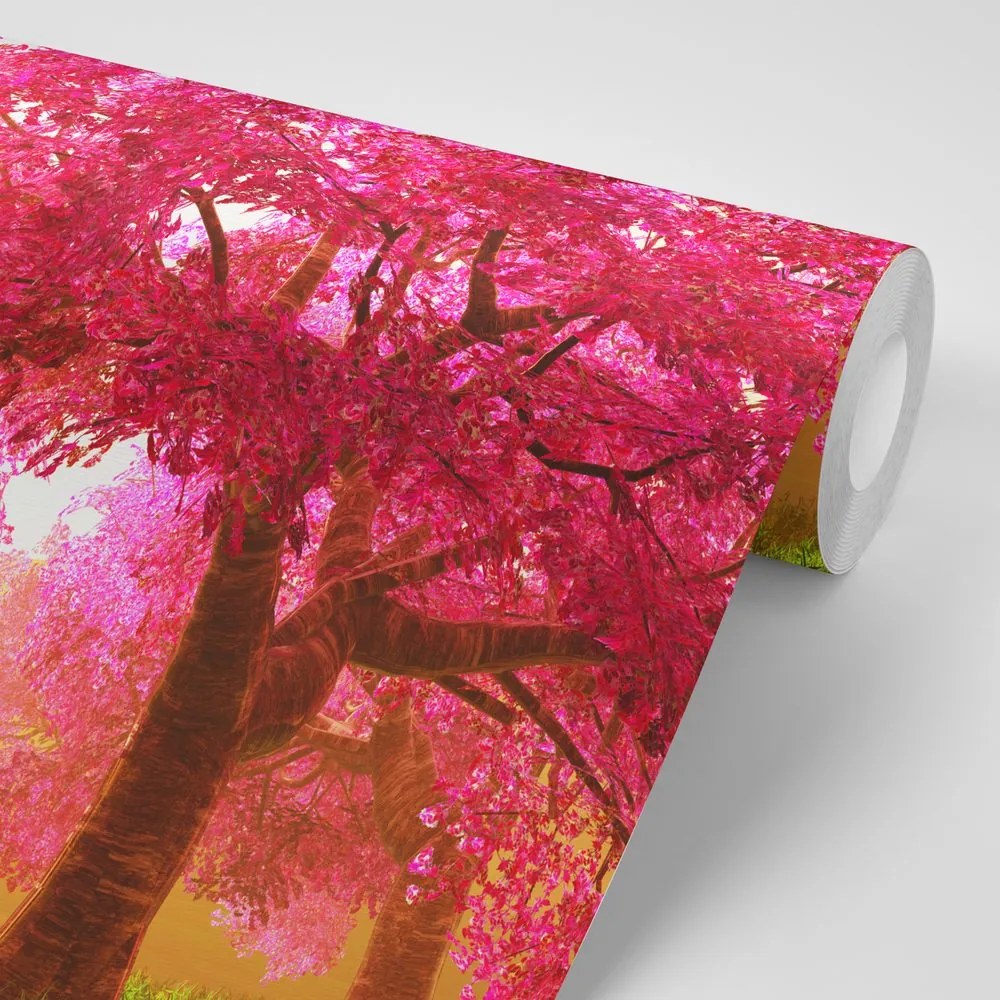 Carta da parati autoadesiva – Alberi di ciliegio in fiore