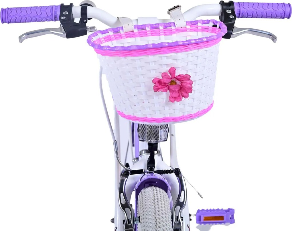 Bicicletta per Bambine 20" Freni Vbrake Cambio Shimano 7 Marce e Cavalletto con Cestino e Portapacchi Viola...
