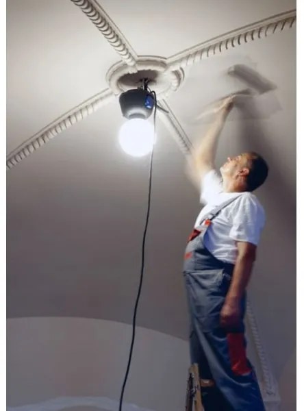 Helios 306-WLG223 - Lampada tecnica LED per esterni WORK GLOBE 2 LED/23W/230V IP44