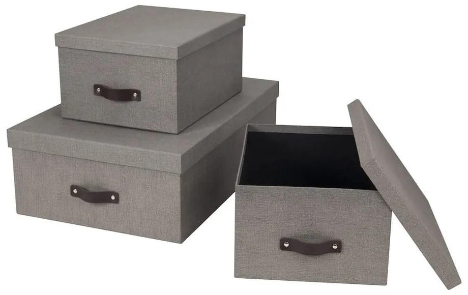 Scatole portaoggetti con coperchio in set da 3 Inge - Bigso Box of Sweden