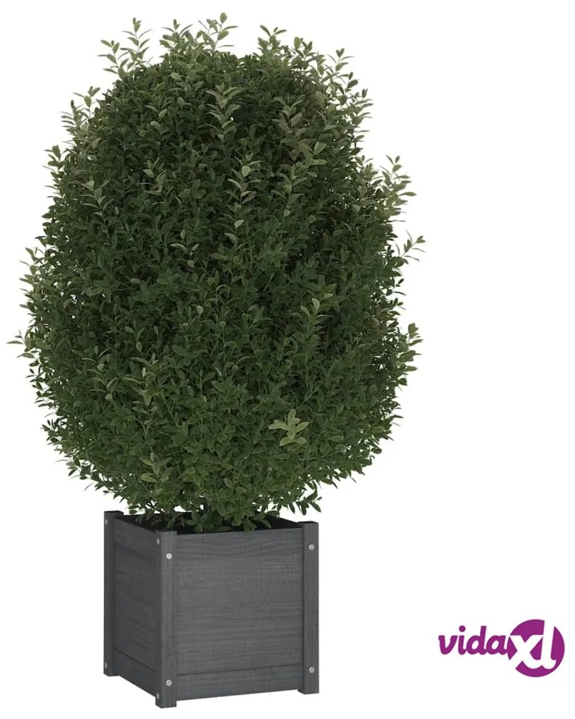 vidaXL Fioriere da Giardino 2 pz Grigie 40x40x40 cm Massello di Pino