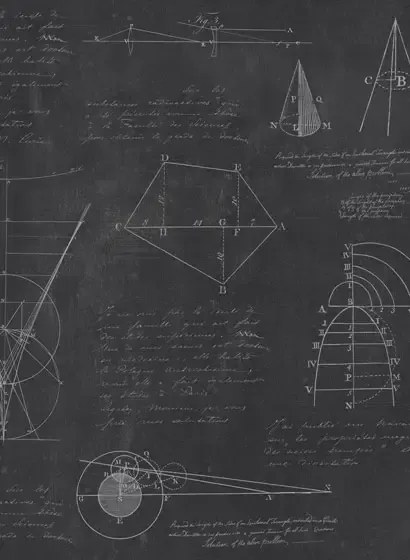 Mindthegap Carta da parati Newton Geometry - WP20046