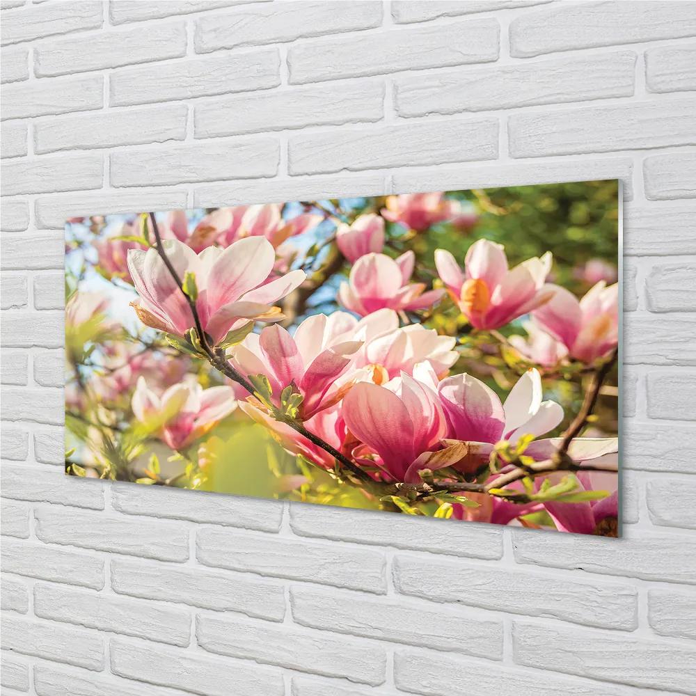 Rivestimento parete cucina Magnolia rosa 100x50 cm
