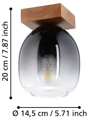 Eglo 900825 - Plafoniera FILAGO 1xE27/40W/230V