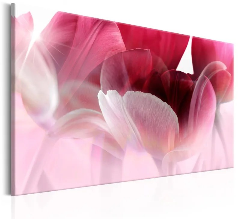 Quadro  Nature: Pink Tulips  Colore Rosa, Dimensioni e Misure 90x60