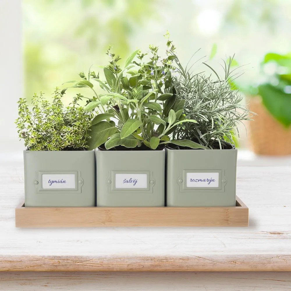 Set di vasi in metallo per erbe aromatiche 3 pz Greenish - Orion